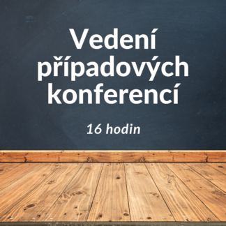 Vedení případových konferencí 16 hodin